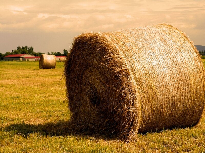 Hay Bale in Field — Yellow, Serene