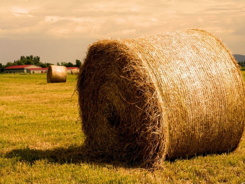 Hay Bale in Field — Yellow
