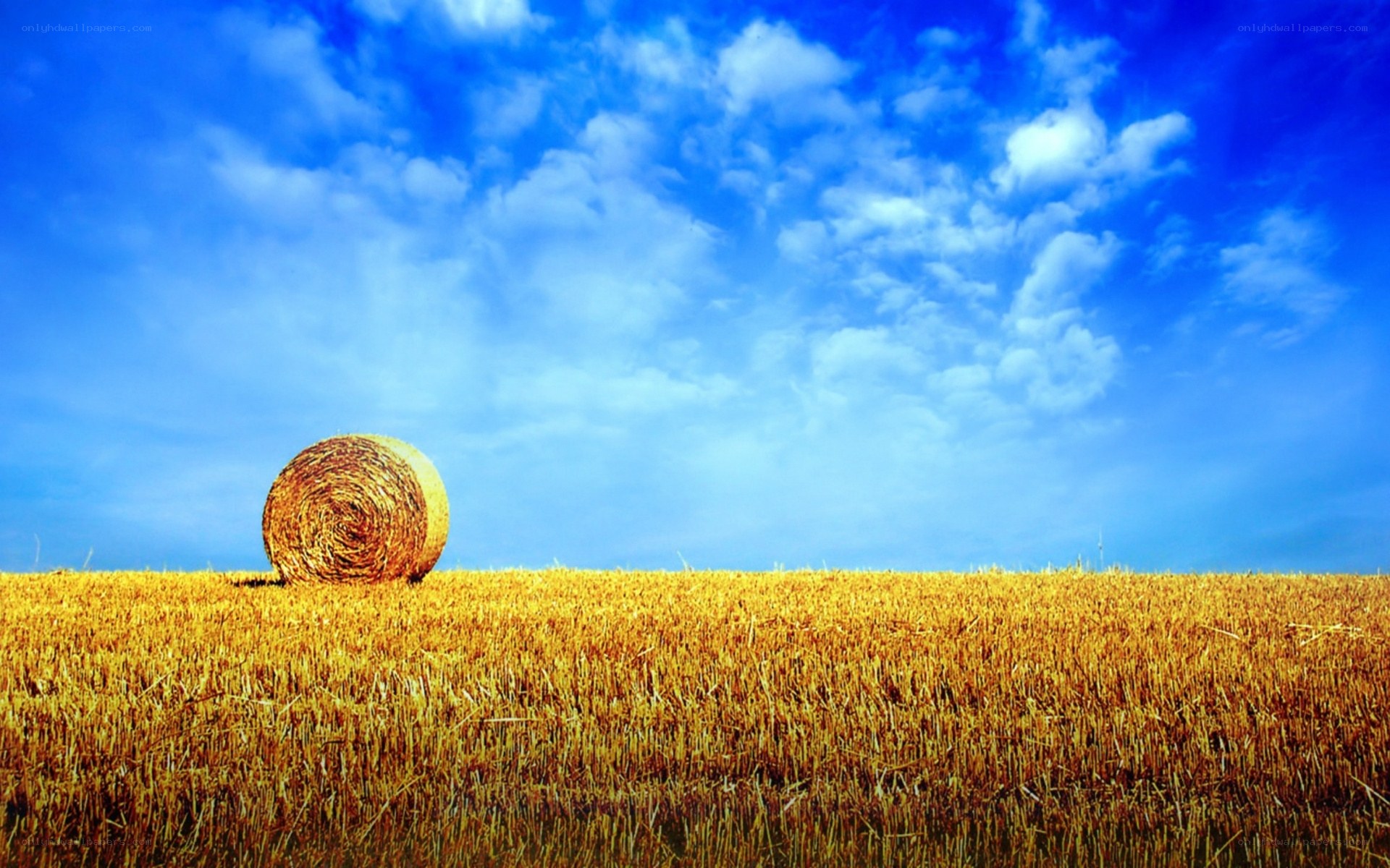 Hay bale in golden field