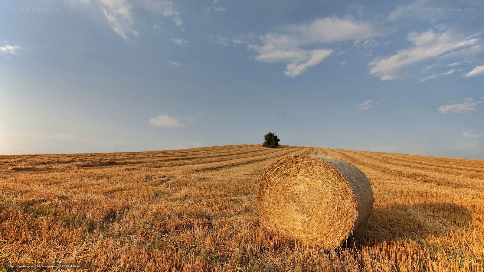 Hay bale in harvested field