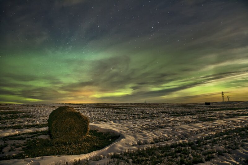 Hay Bale in Snow — Green
