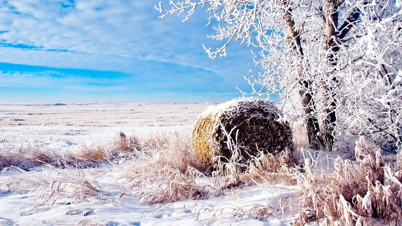 Hay Bale in Snow — White, Serene
