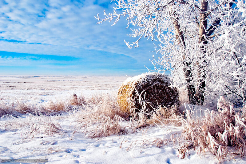 Hay Bale in Snow — White, Serene, Winter