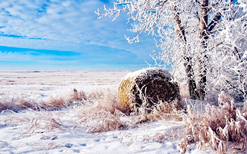 Hay Bale in Snow — White