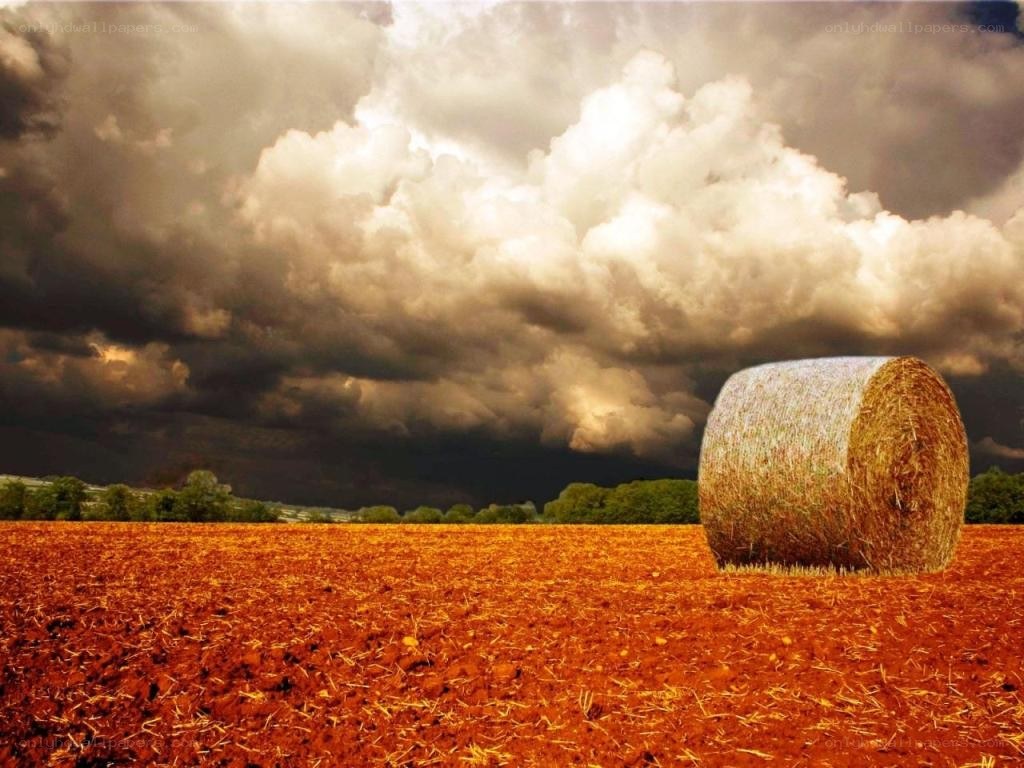 Hay bale under stormy sky