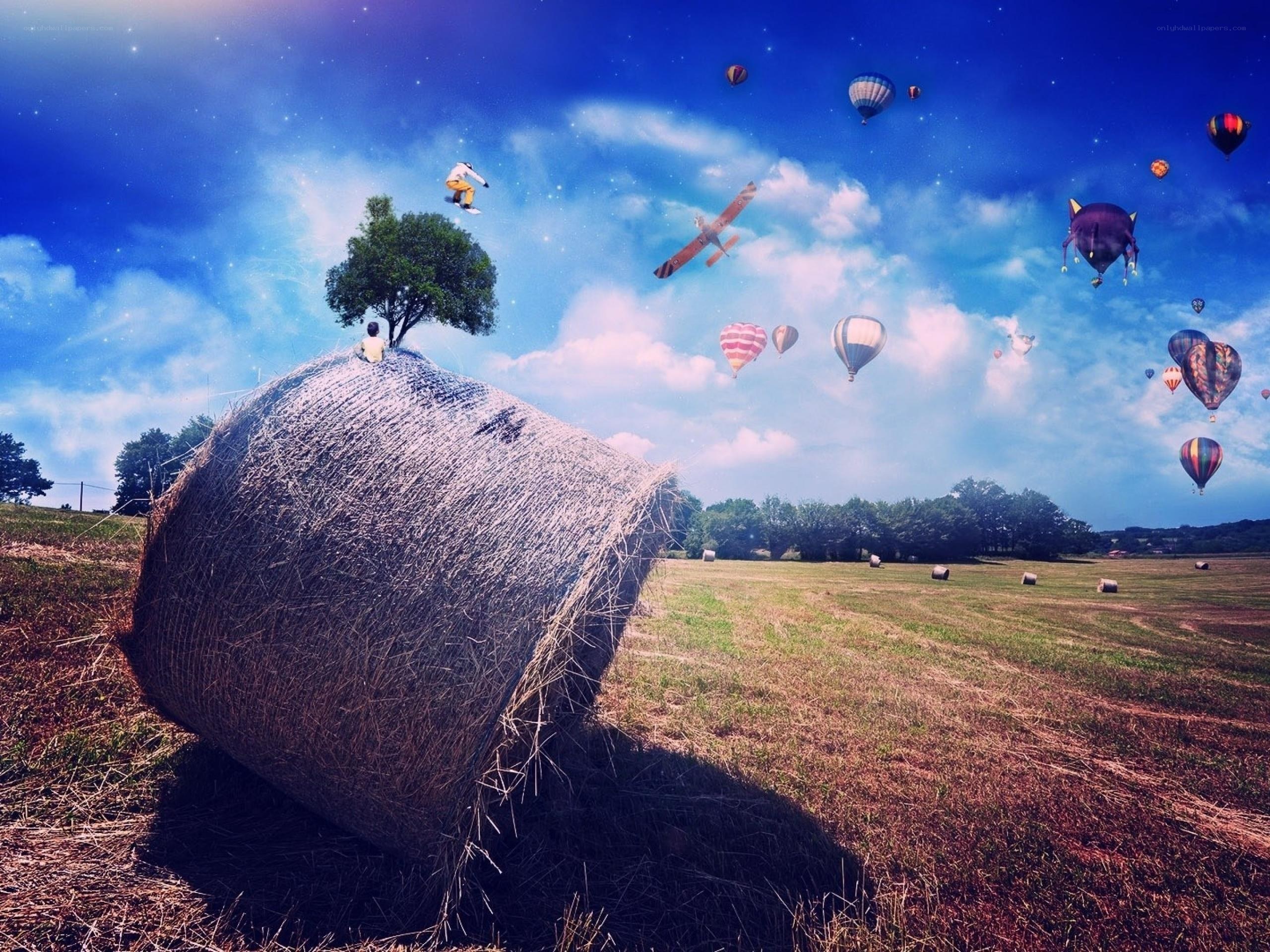 Hay bale with hot air balloons