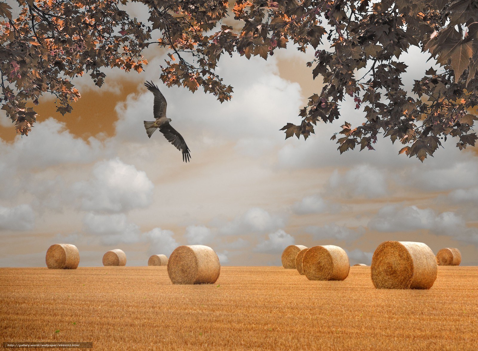 Hay bales and flying bird