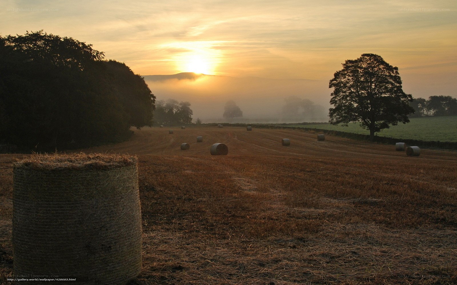 Hay bales at sunrise