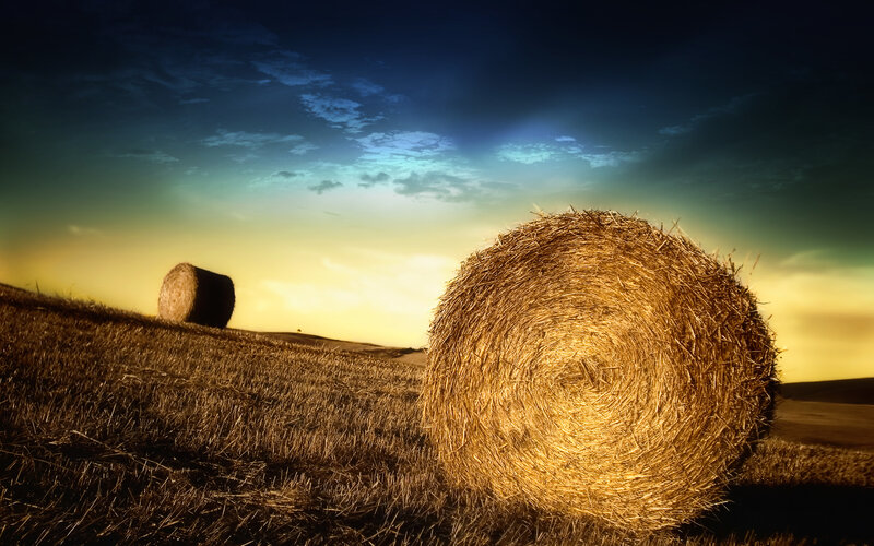 Hay bales at sunset