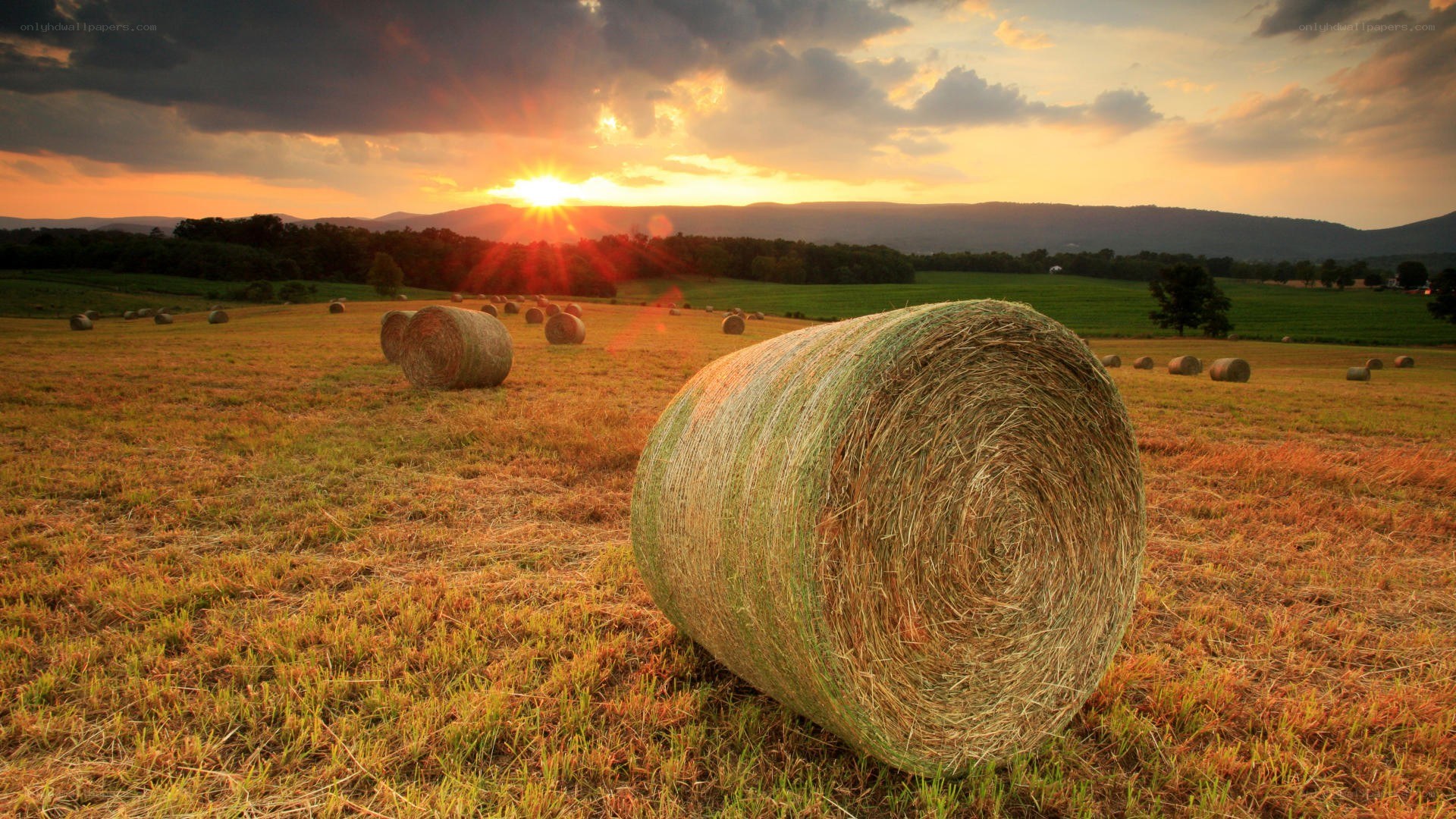 Hay bales at sunset