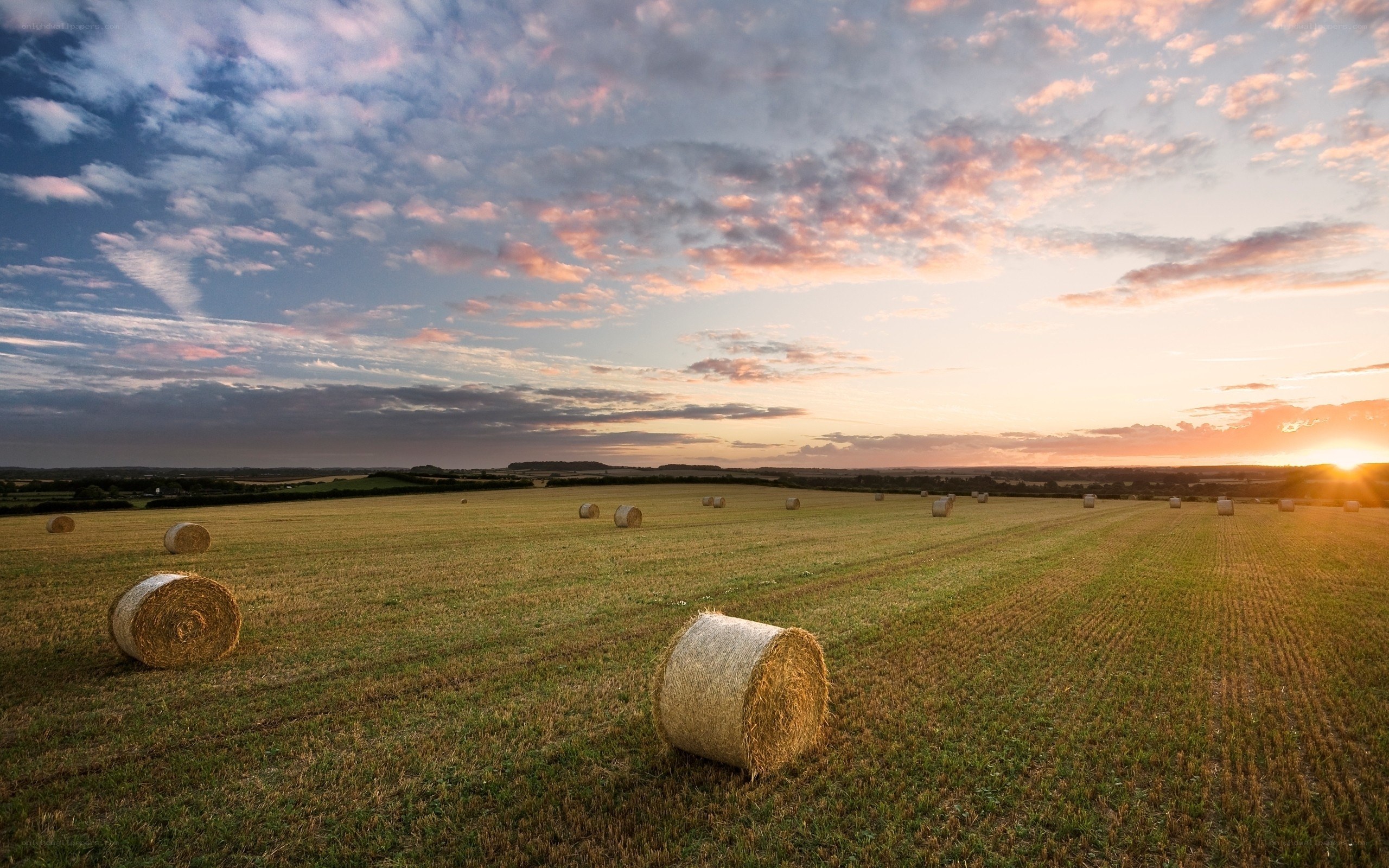 Hay bales at sunset