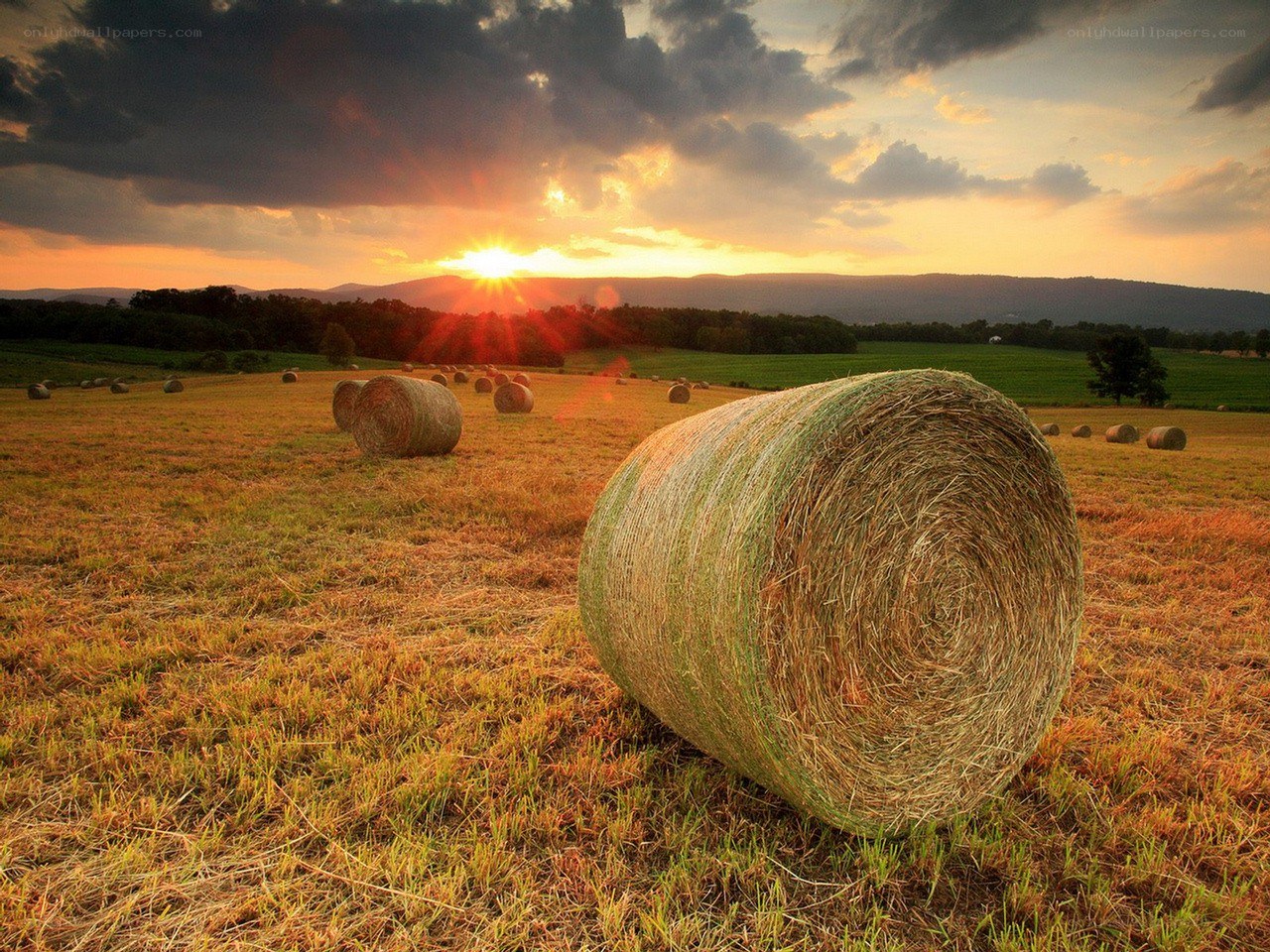 Hay bales at sunset