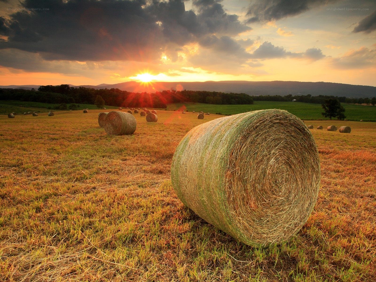 Hay bales at sunset