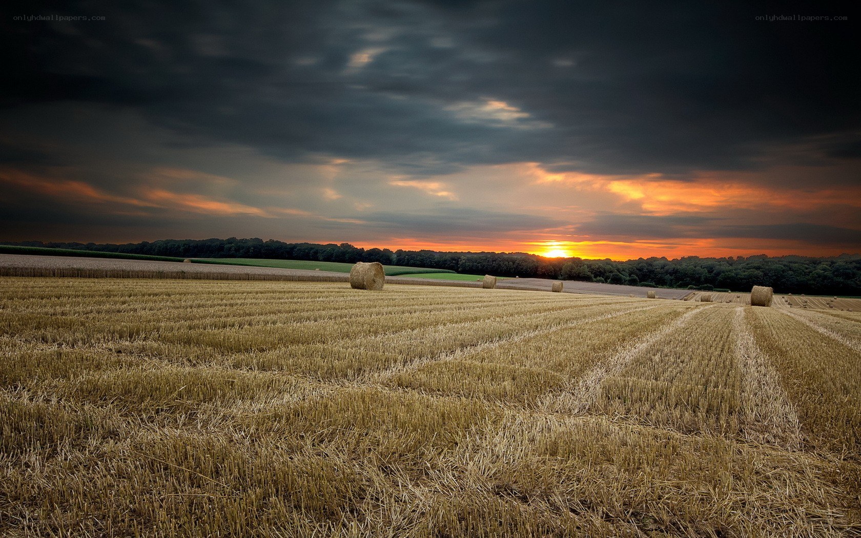 Hay bales at sunset