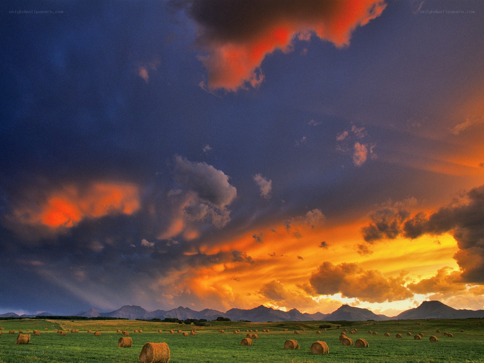 Hay bales at sunset