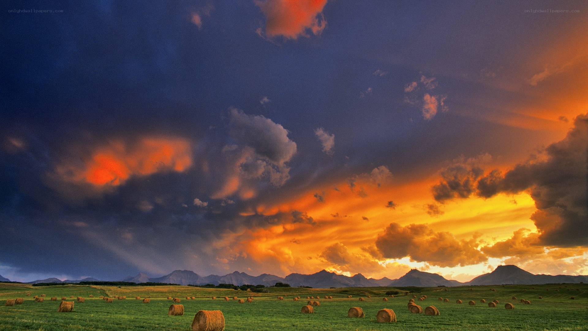 Hay bales at sunset