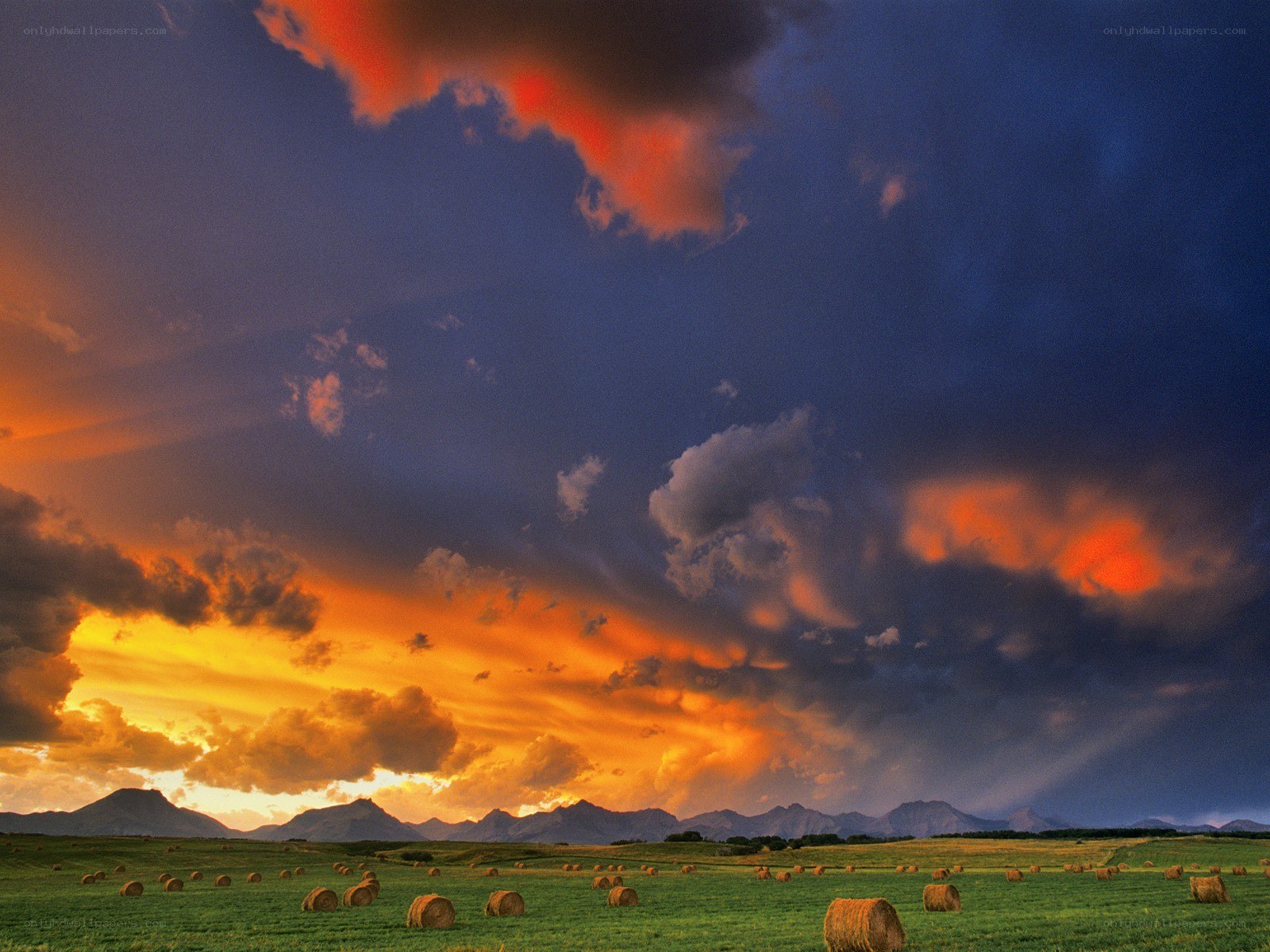Hay bales at sunset