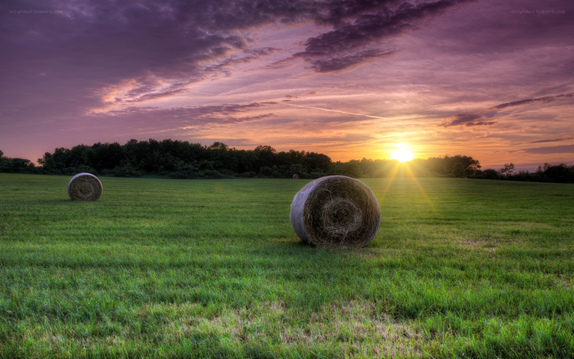Hay bales at sunset