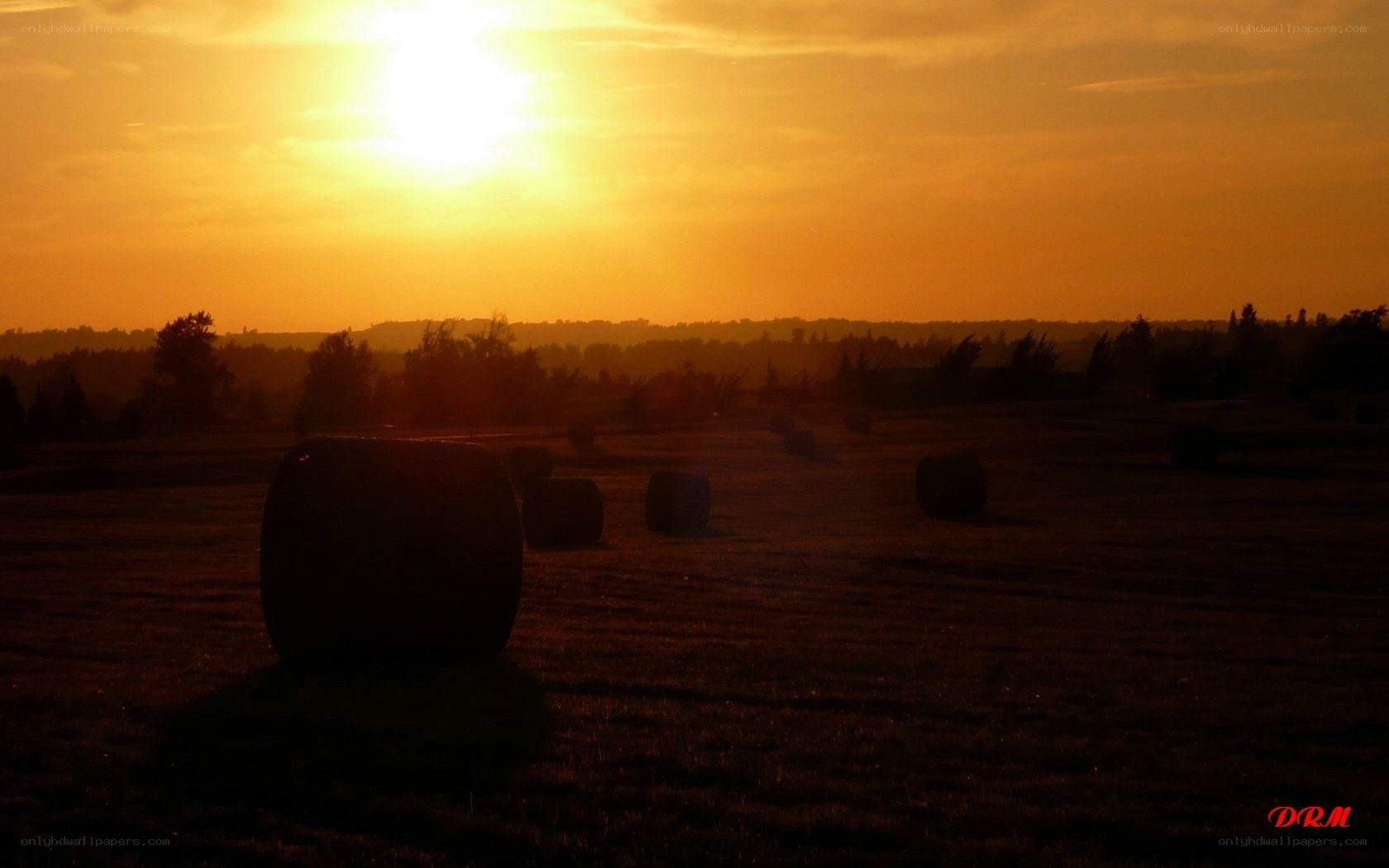 Hay bales at sunset