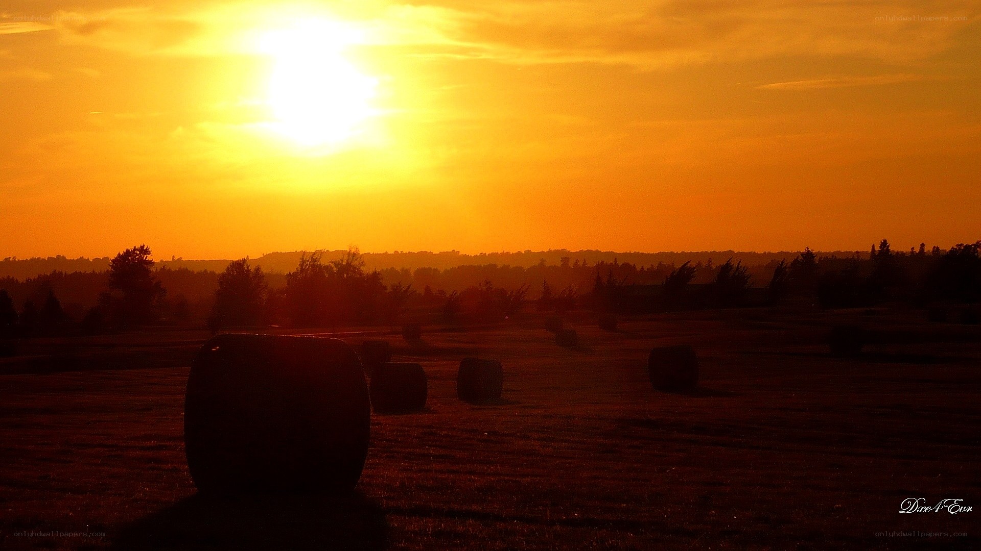 Hay bales at sunset
