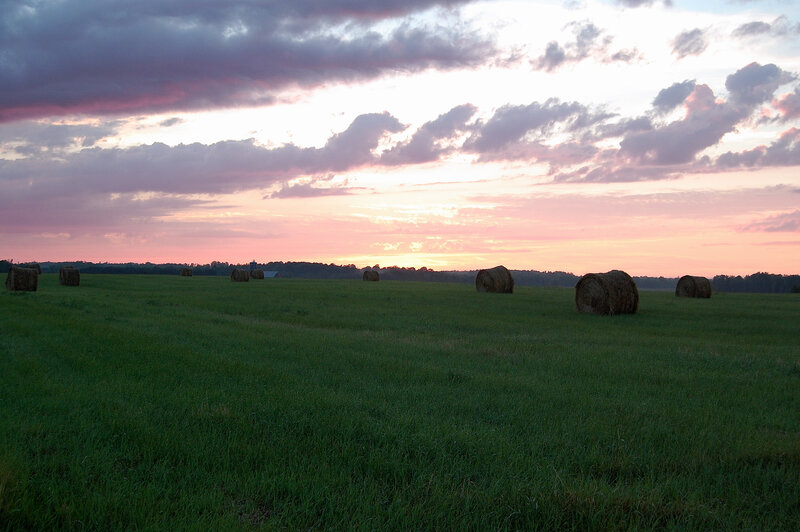 Hay bales at sunset