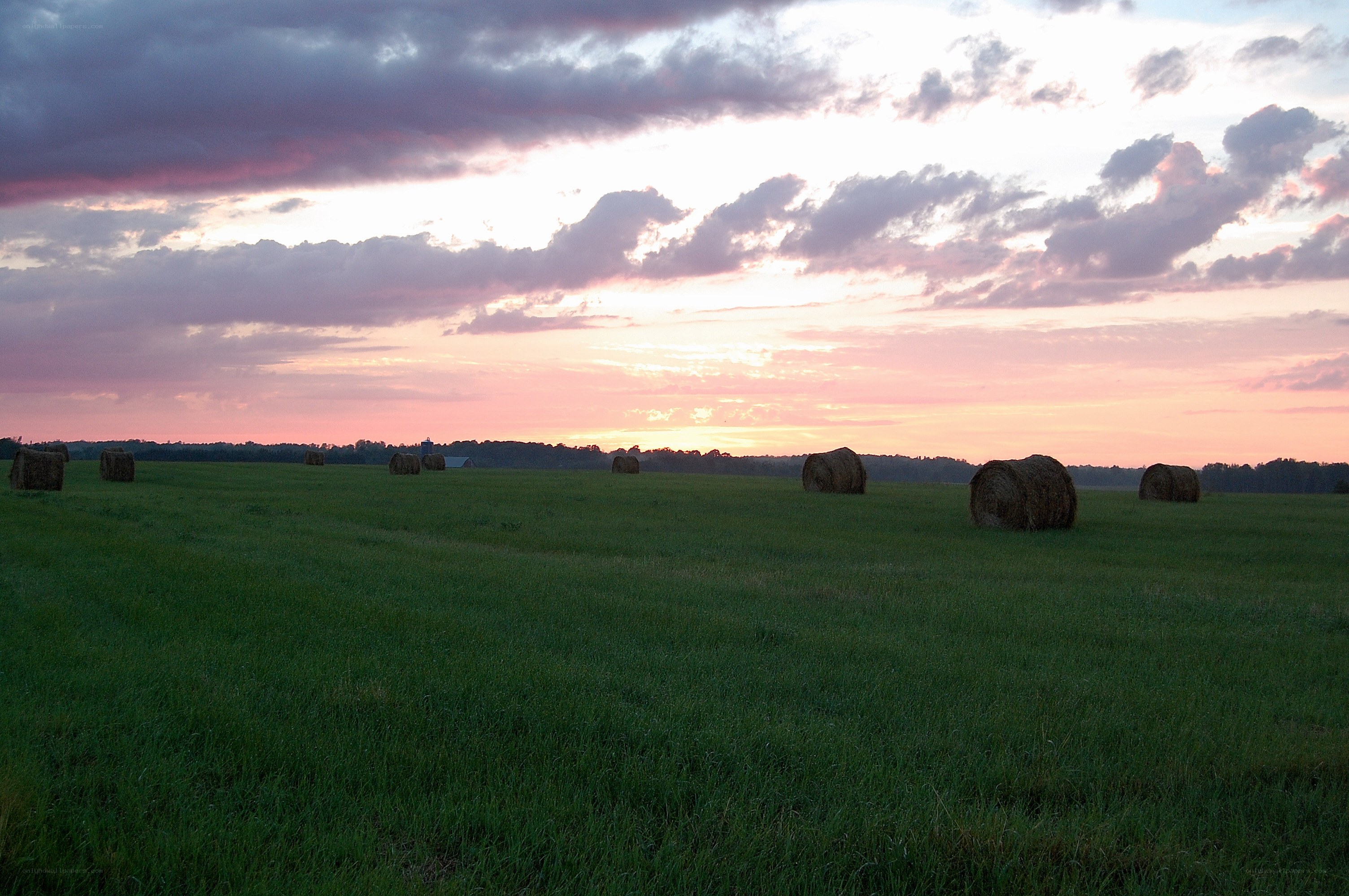 Hay bales at sunset