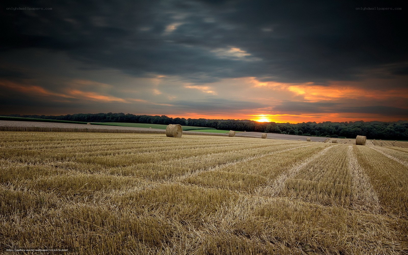 Hay bales at sunset