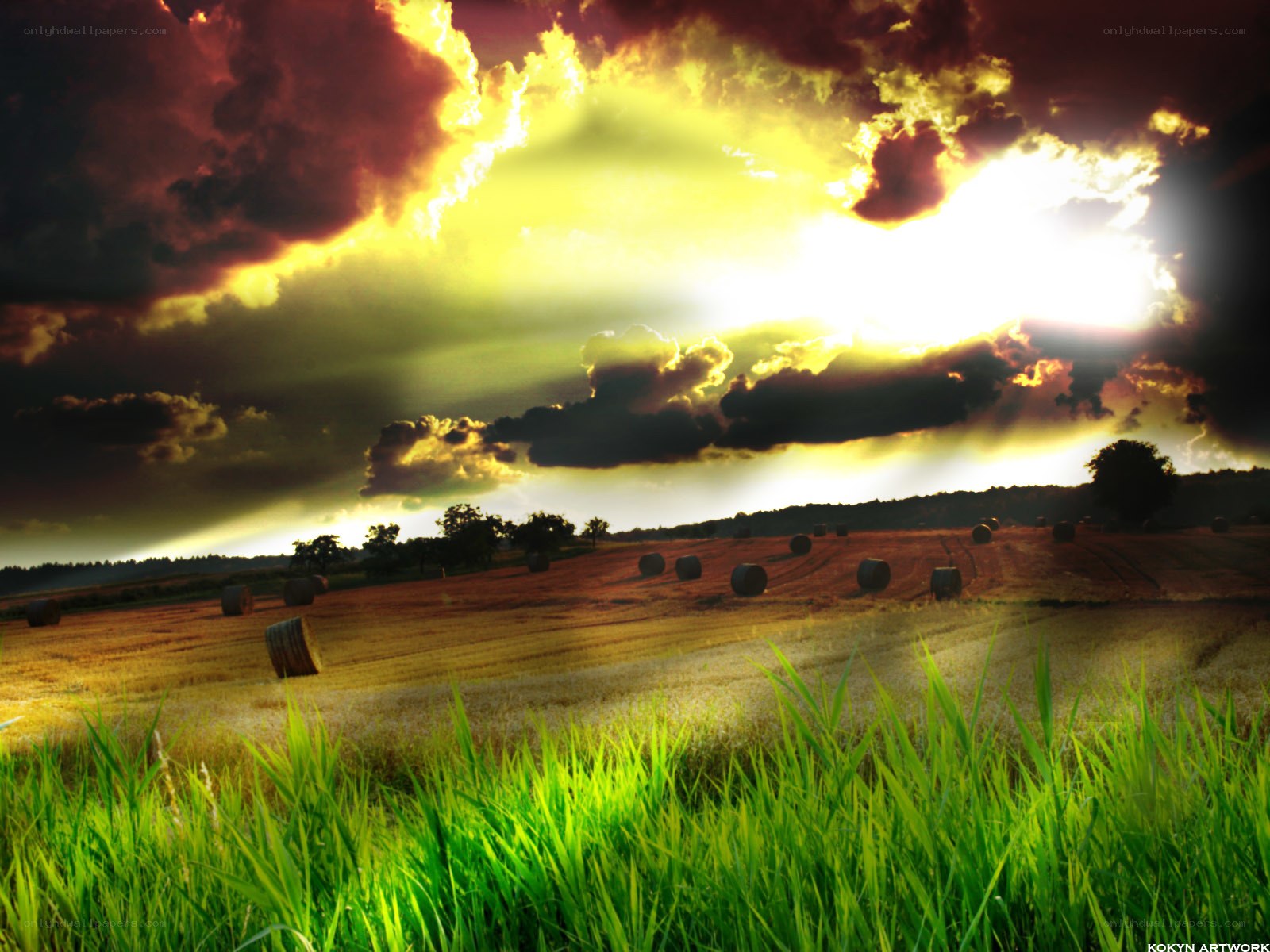 Hay bales at sunset