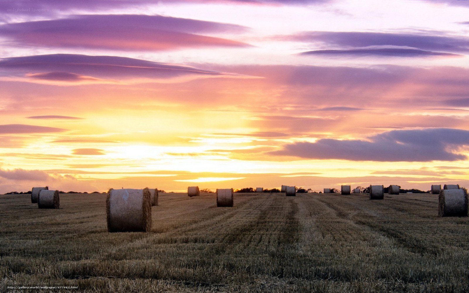 Hay bales at sunset
