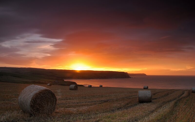 Hay bales at sunset by the sea