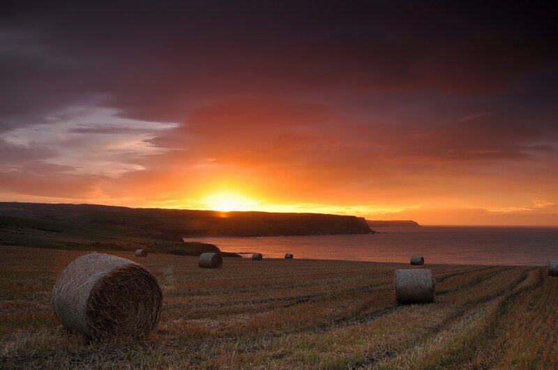 Hay bales at sunset by the sea