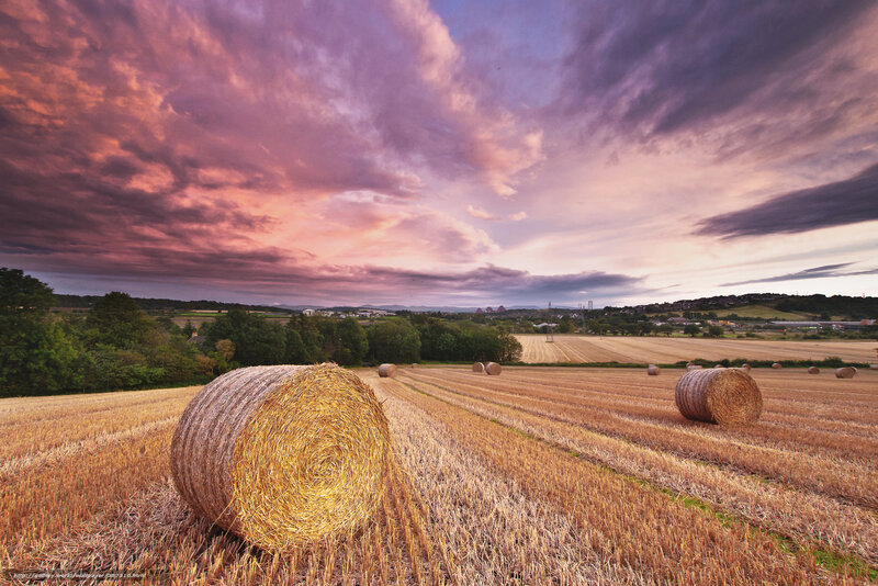 Hay bales at sunset