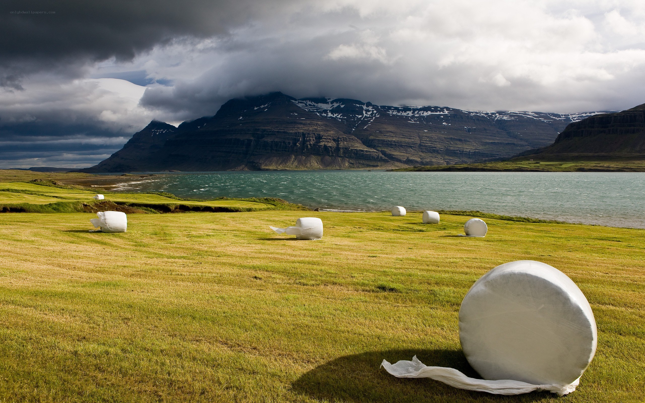 Hay bales by a fjord