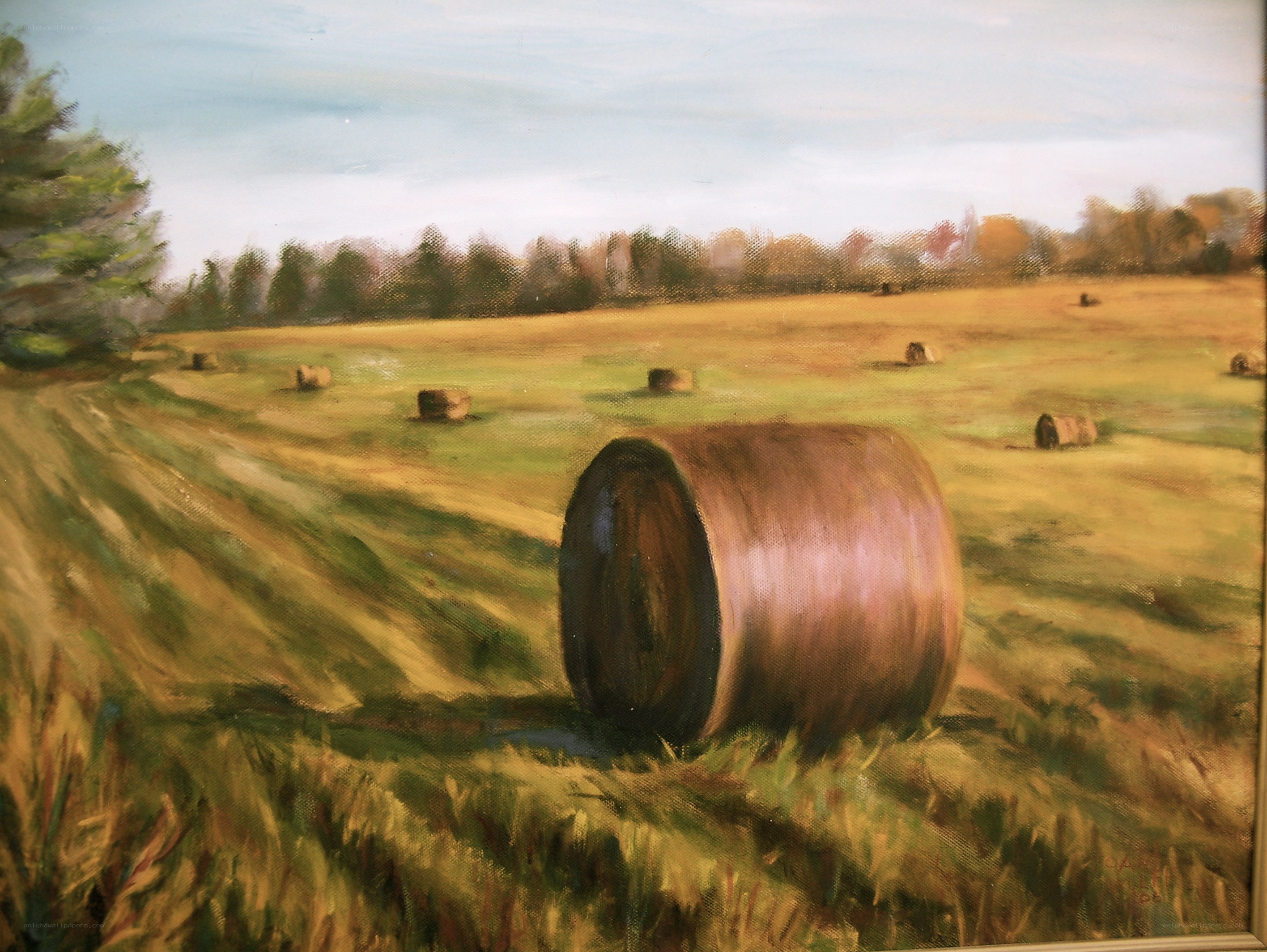 Hay bales in a field