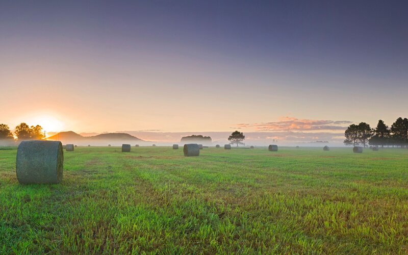 Hay bales in a field at sunrise