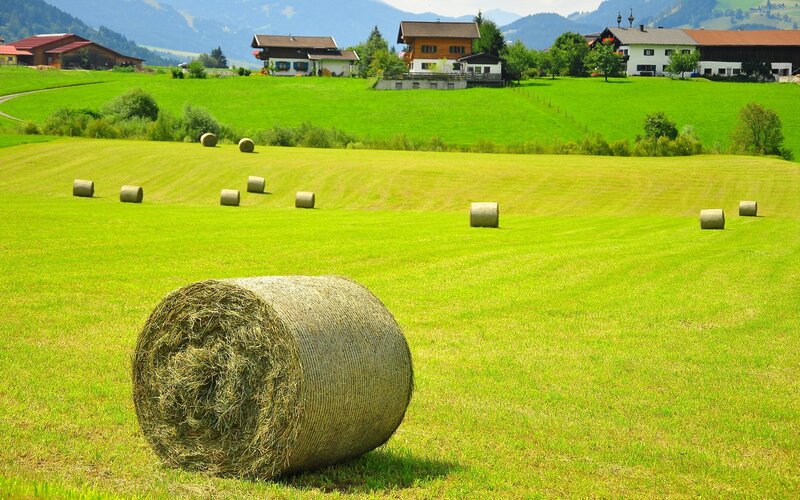 Hay bales in a green field