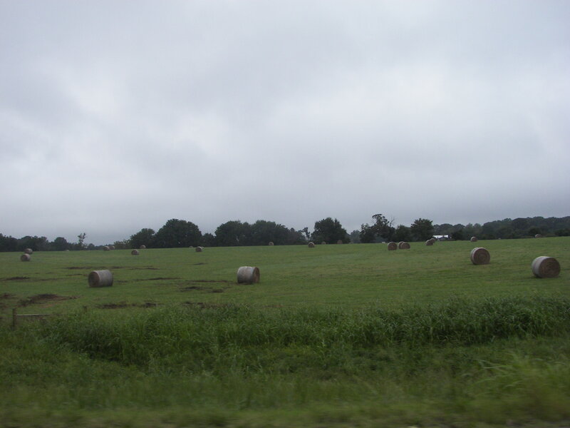 Hay bales in a green field