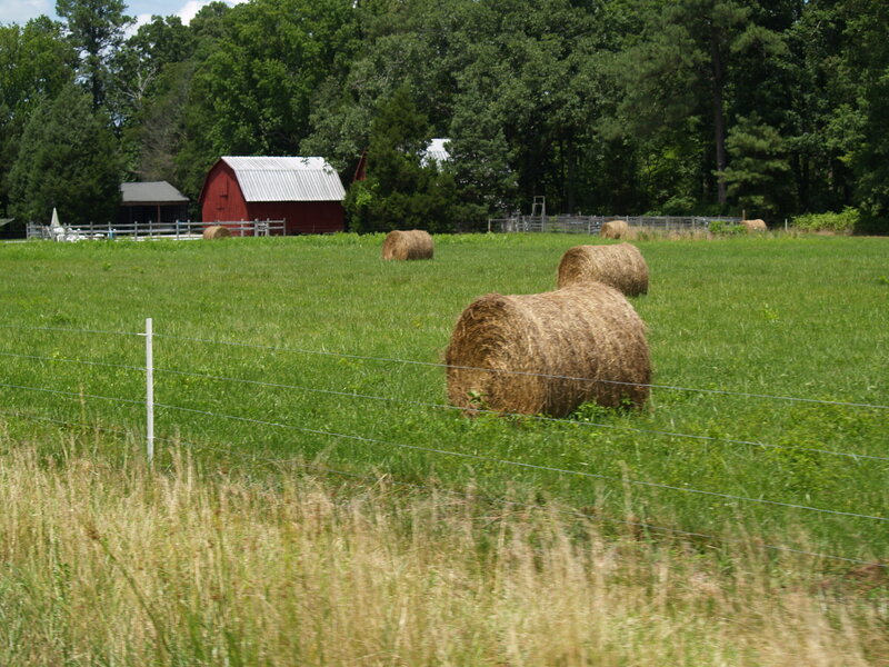 Hay bales in a green field