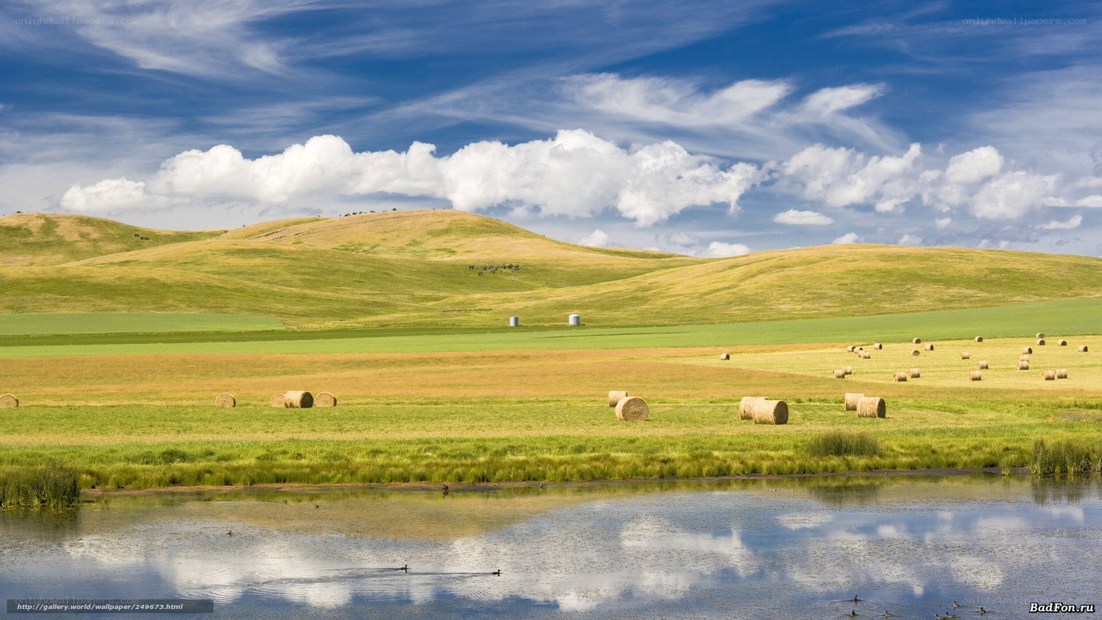 Hay bales in a green field