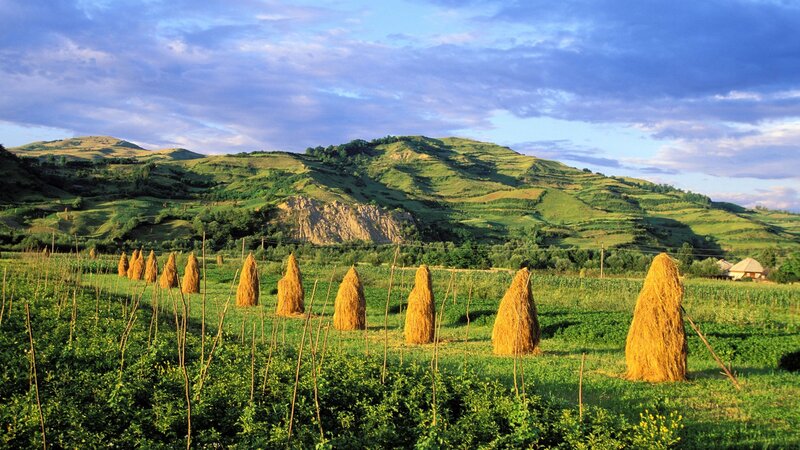 Hay bales in a green valley