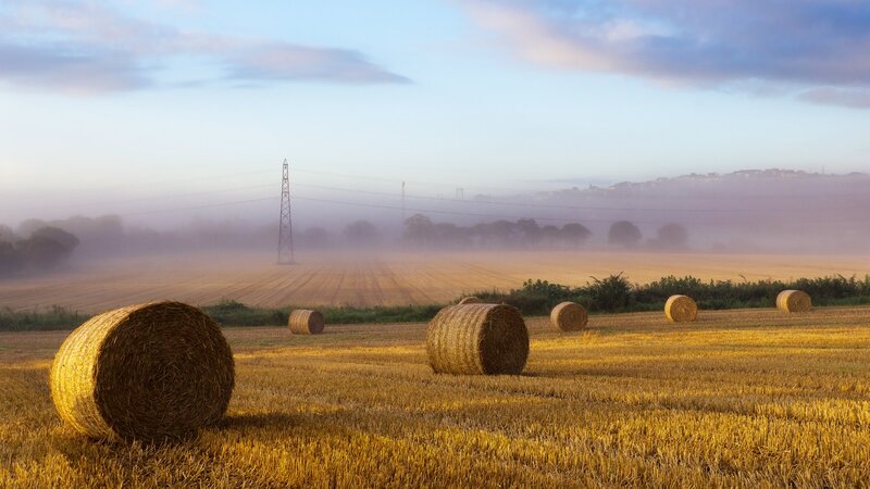 Hay bales in a misty field
