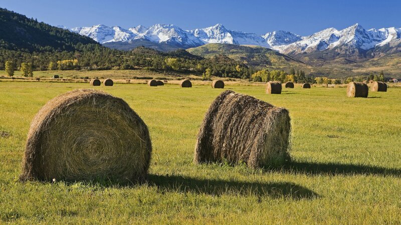 Hay bales in a mountain field
