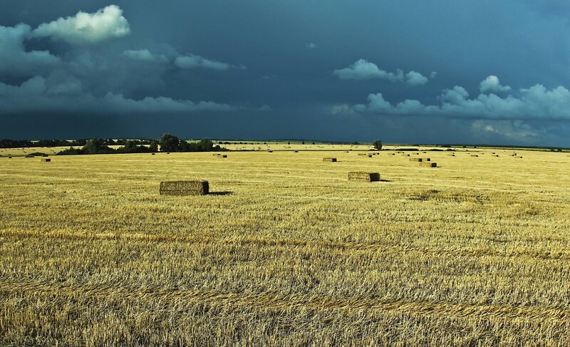 Hay bales in a stormy field