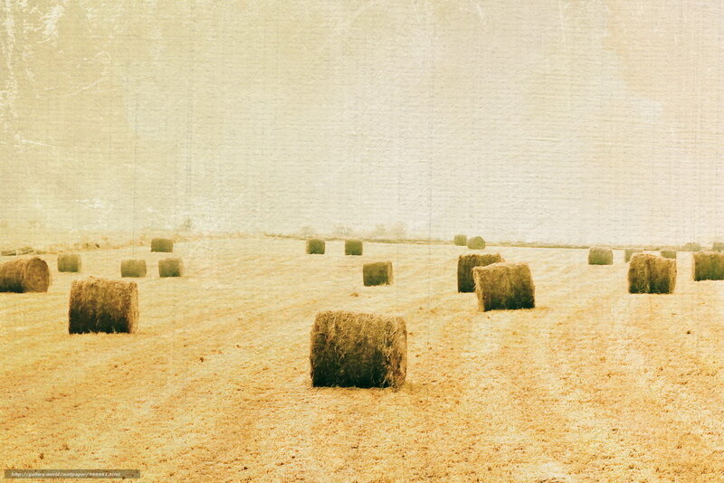 Hay Bales in Field — Beige