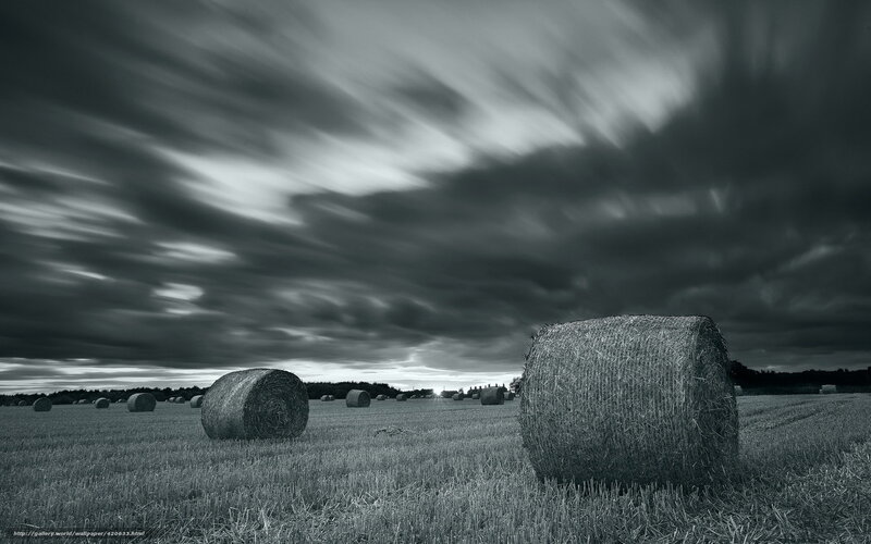 Hay Bales in Field — Black, Dramatic