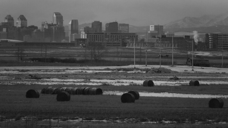 Hay Bales in Field — Black