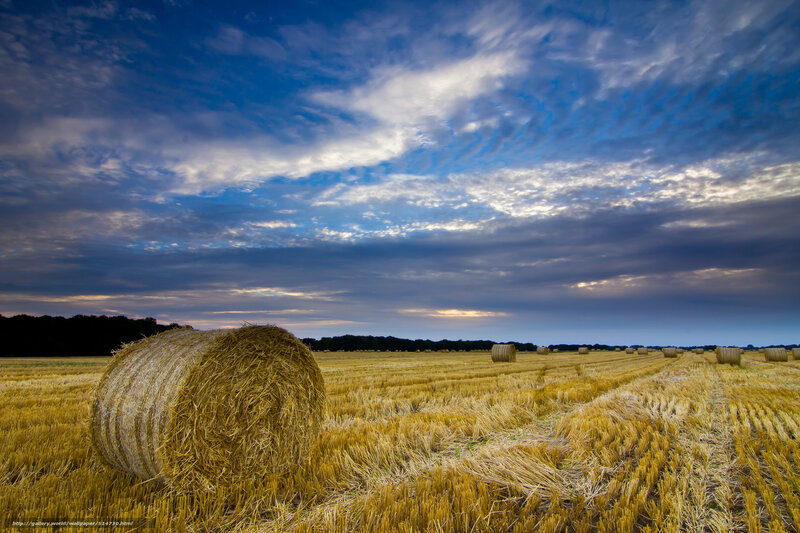 Hay Bales in Field — Blue, Dramatic, Sunset, Photograph