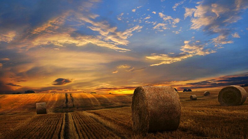 Hay Bales in Field — Blue, Dramatic, Sunset