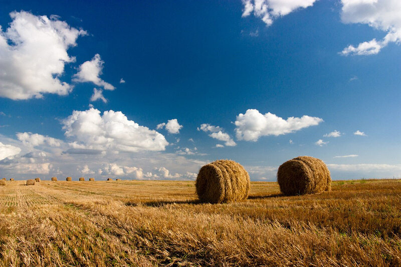Hay Bales in Field — Blue, Serene, Afternoon, Photograph, Clouds, Sky