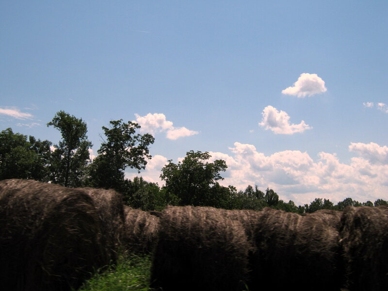 Hay Bales in Field — Blue, Serene, Afternoon, Photograph, Trees, Clouds